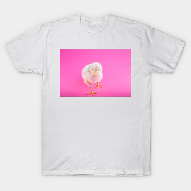 Chick T-Shirt by kawaii_shop